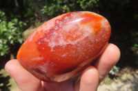 Polished Carnelian Standing Free Forms x 6 From Madagascar - Toprock Gemstones and Minerals