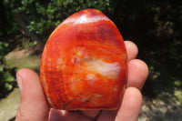 Polished Carnelian Standing Free Forms x 6 From Madagascar - Toprock Gemstones and Minerals