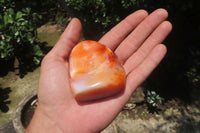 Polished Carnelian Standing Free Forms x 6 From Madagascar - Toprock Gemstones and Minerals