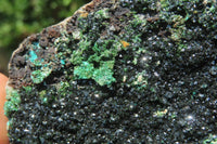 Natural Libethenite Crystals On Dolomite Matrix Specimen x 1 From Shituru, Congo - Toprock Gemstones and Minerals