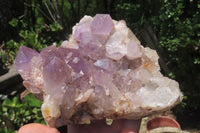Natural Jacaranda Amethyst Quartz Clusters x 2 from Mumbwa, Zambia - Toprock Gemstones and Minerals