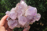 Natural Jacaranda Amethyst Quartz Clusters x 2 from Mumbwa, Zambia - Toprock Gemstones and Minerals