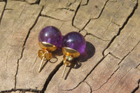 Polished Pair of Gemmy Amethyst Stud Earrings - sold per Pair - From Zambia - Toprock Gemstones and Minerals