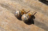 Polished Pair of Larger Snakeskin Rhyolite Jasper Stud Earrings - sold per Pair - From Australia - Toprock Gemstones and Minerals
