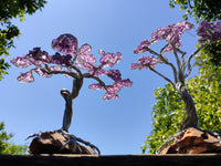 Hand Made Amethyst Tumble Chip & Wire Wrap Tree - Sold Per Item - From South Africa - Toprock Gemstones and Minerals