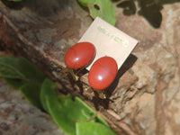 Polished Pair of Red Jasper Cabochon Stud Clip Earrings - Sold per Pair - From South Africa - Toprock Gemstones and Minerals
