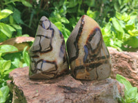 Polished Septerye Flame Sculptures x 6 From Madagascar - Toprock Gemstones and Minerals