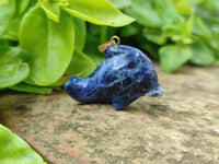 Polished Mixed Set Of 12 Gemstone Dolphin Pendants - Sold Per Box - From Southern Africa - Toprock Gemstones and Minerals