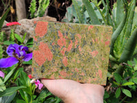 Hand Made Unakite Jewellery Box - Sold per Item - From South Africa - Toprock Gemstones and Minerals