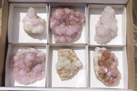 Natural Amethyst Spirit Quartz Clusters x 6 From Boekenhouthoek, South Africa - Toprock Gemstones and Minerals