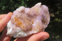 Natural Amethyst Spirit Quartz Clusters x 6 From Boekenhouthoek, South Africa - Toprock Gemstones and Minerals
