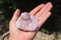 Natural Amethyst Spirit Quartz Clusters x 6 From Boekenhouthoek, South Africa - Toprock Gemstones and Minerals