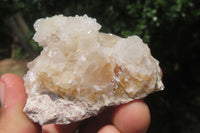 Natural Amethyst Spirit Quartz Clusters x 6 From Boekenhouthoek, South Africa - Toprock Gemstones and Minerals