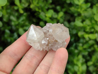 Natural Amethyst Spirit Quartz Specimens x 111 From Boekenhouthoek, South Africa - Toprock Gemstones and Minerals