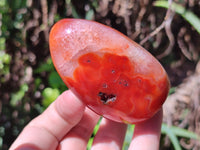 Polished Carnelian Standing Free Forms x 6 From Madagascar - Toprock Gemstones and Minerals