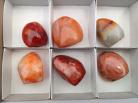 Polished Carnelian Standing Free Forms x 6 From Madagascar - Toprock Gemstones and Minerals