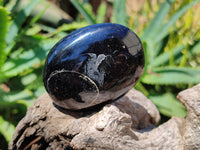 Polished Black Tourmaline Palm Stones x 12 From Madagascar - Toprock Gemstones and Minerals