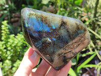 Polished Labradorite Standing Free Forms x 2 From Madagascar - Toprock Gemstones and Minerals