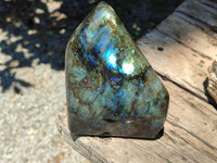 Polished Labradorite Standing Free Forms x 2 From Madagascar - Toprock Gemstones and Minerals