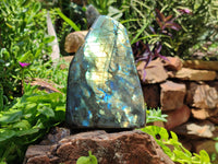 Polished Labradorite Standing Free Forms x 2 From Madagascar - Toprock Gemstones and Minerals