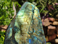Polished Labradorite Standing Free Forms x 2 From Madagascar - Toprock Gemstones and Minerals
