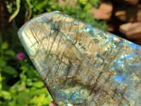 Polished Labradorite Standing Free Forms x 2 From Madagascar - Toprock Gemstones and Minerals