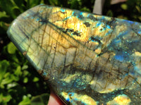 Polished Labradorite Standing Free Forms x 2 From Madagascar - Toprock Gemstones and Minerals