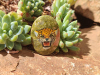 Polished Unakite Pendant with Hand Painted Leopard - Sold Per Item - From South Africa - Toprock Gemstones and Minerals