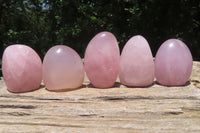 Polished Rose Quartz Standing Free Forms x 5 From Madagascar - Toprock Gemstones and Minerals