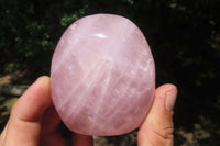 Polished Rose Quartz Standing Free Forms x 5 From Madagascar - Toprock Gemstones and Minerals