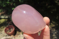 Polished Rose Quartz Standing Free Forms x 5 From Madagascar - Toprock Gemstones and Minerals