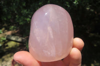 Polished Rose Quartz Standing Free Forms x 5 From Madagascar - Toprock Gemstones and Minerals