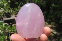 Polished Rose Quartz Standing Free Forms x 5 From Madagascar - Toprock Gemstones and Minerals