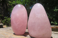 Polished Rose Quartz Standing Free Forms x 5 From Madagascar - Toprock Gemstones and Minerals