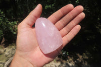 Polished Rose Quartz Standing Free Forms x 5 From Madagascar - Toprock Gemstones and Minerals