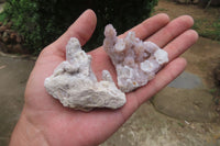 Natural Fairy Spirit Quartz Clusters x 13 From Boekenhouthoek, South Africa - Toprock Gemstones and Minerals