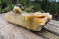 Natural Fairy Spirit Quartz Clusters x 13 From Boekenhouthoek, South Africa - Toprock Gemstones and Minerals