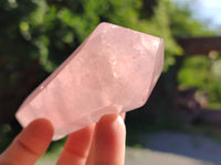 Polished Double Terminated Rose Quartz Points x 6 From Ambatondrazaka, Madagascar - Toprock Gemstones and Minerals