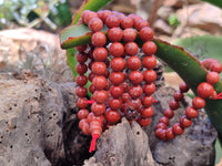 Polished Red Jasper Beaded Stretch Buddha Bracelet - Sold Per Item - From South Africa - Toprock Gemstones and Minerals