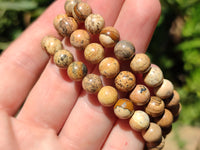 Polished Namibian Desert Picture Stone Jasper Beaded Stretch Buddha Bracelet - Sold Per Item - From Namibia - Toprock Gemstones and Minerals