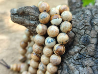 Polished Namibian Desert Picture Stone Jasper Beaded Stretch Buddha Bracelet - Sold Per Item - From Namibia - Toprock Gemstones and Minerals