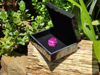 Hand Made Jet Lignite Jewellery Box x 1 From Swaziland - Toprock Gemstones and Minerals