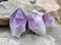 Polished Jacaranda Amethyst Crystals x 6 From Zambia - Toprock Gemstones and Minerals