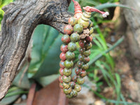 Polished Unakite Beaded Stretch Buddha Bracelet - Sold Per Item - From South Africa - Toprock Gemstones and Minerals
