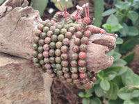 Polished Unakite Beaded Stretch Buddha Bracelet - Sold Per Item - From South Africa - Toprock Gemstones and Minerals