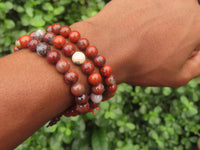 Polished Brecciated Red Jasper Beaded Stretch Buddha Bracelet - Sold Per Item - From South Africa - Toprock Gemstones and Minerals