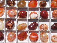 Polished Carnelian Palm Stones x 24 From Madagascar - Toprock Gemstones and Minerals