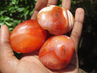 Polished Carnelian Palm Stones x 24 From Madagascar - Toprock Gemstones and Minerals
