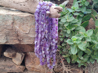 Polished Amethyst Tumble Chip Beaded Necklace - Sold per Item- From Zambia - Toprock Gemstones and Minerals