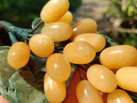 Polished Honey Aragonite Hanging Bunch of Grapes with Green Fuchsite Leaves - sold per item - From Namibia - Toprock Gemstones and Minerals
